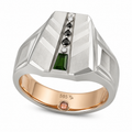 Kaelmor Vault — The Capricorn Wealth Ring 1